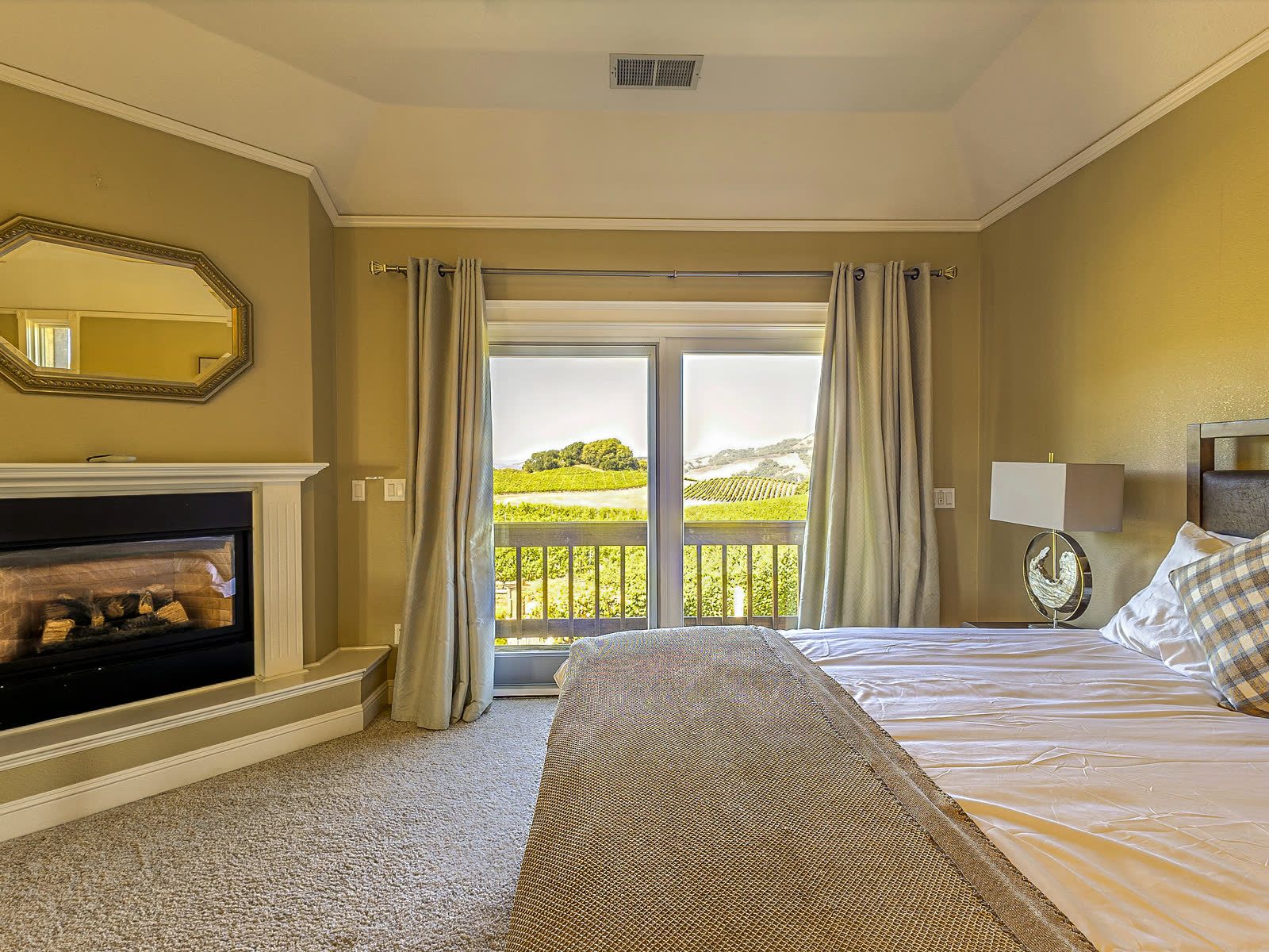 The fireplace, and the vines through the balcony door