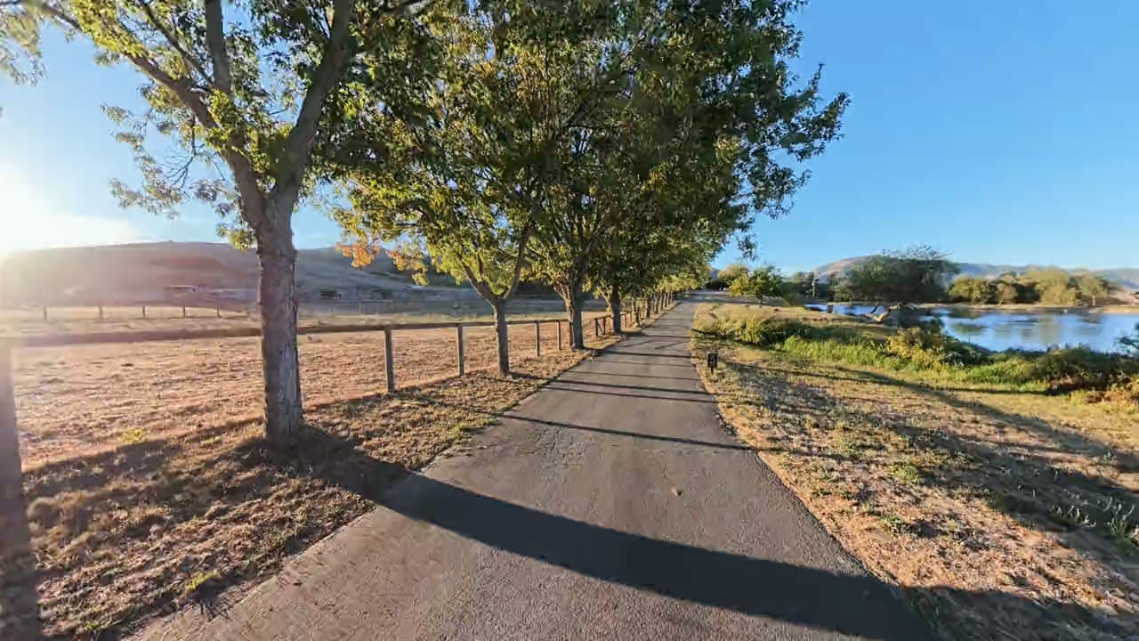 The drive up to the house