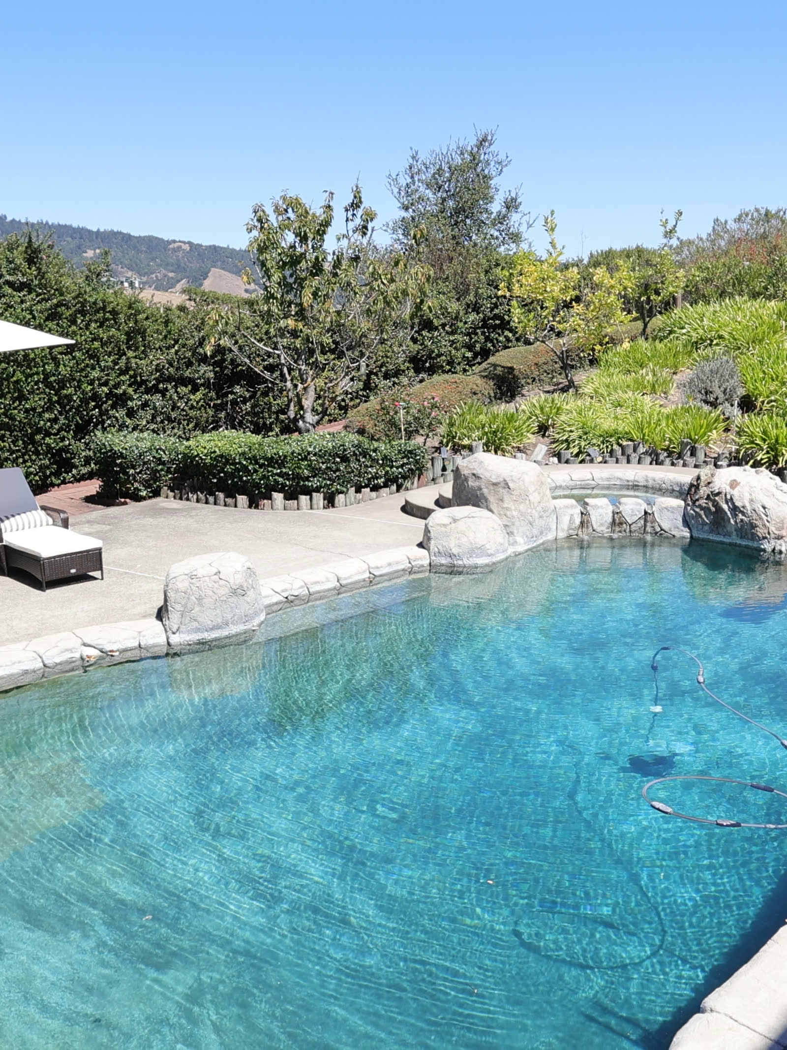 The pool