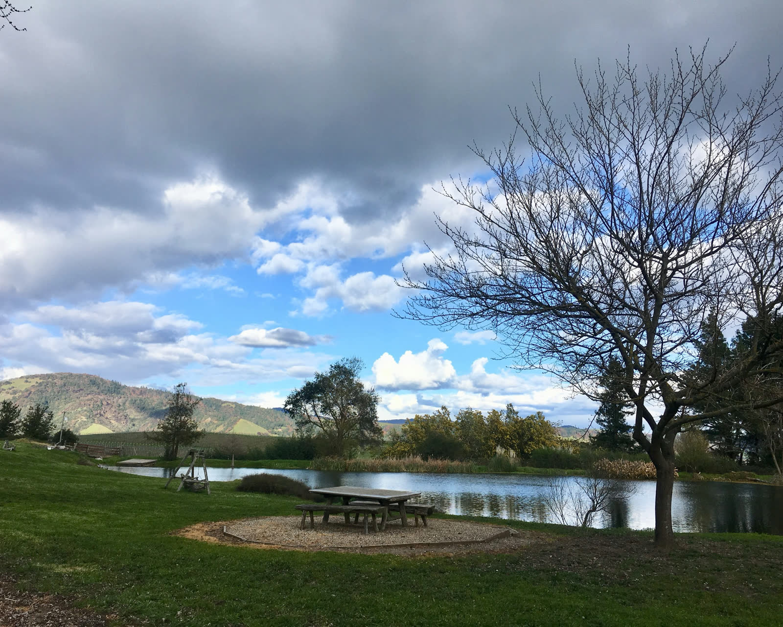 The picnic table by the pond