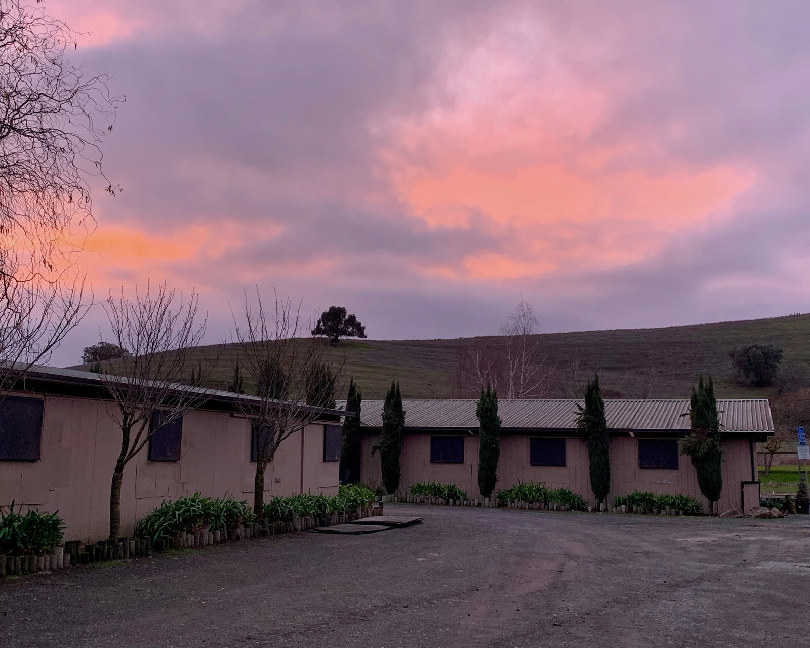 Dusk over the estate
