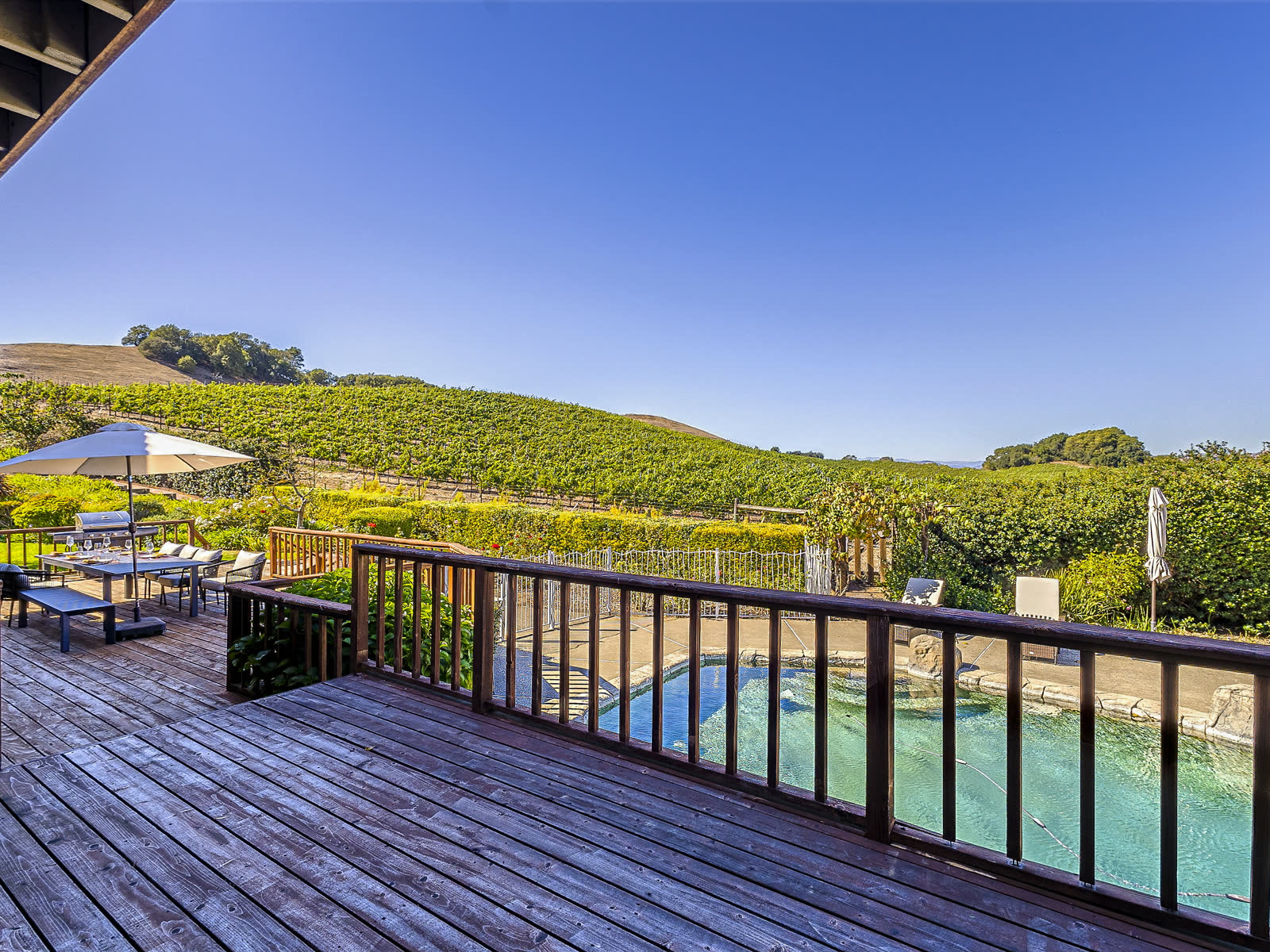 The terrace, the pool and the vines beyond